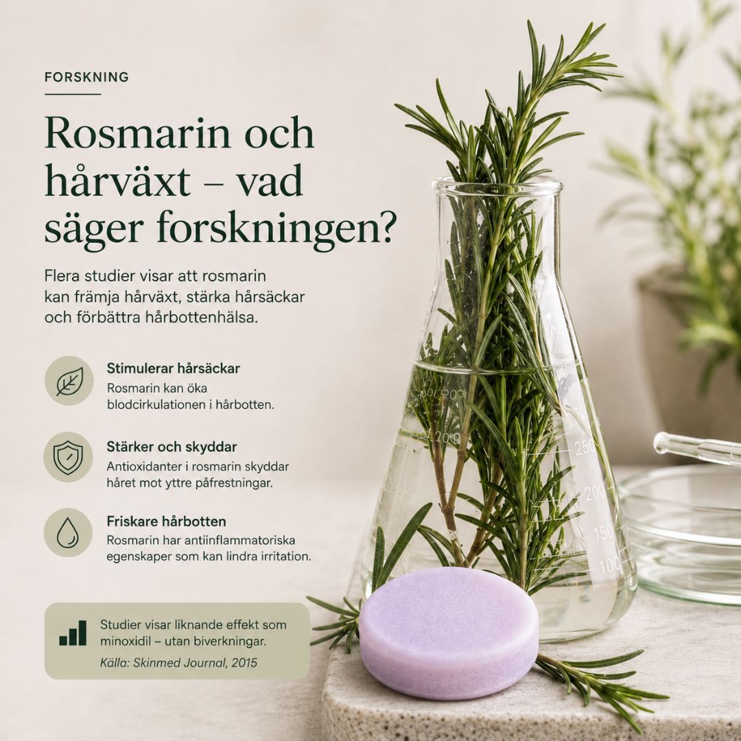 Rosmarin & koffein för håret – vad säger forskningen?